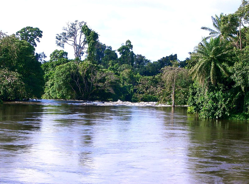 Cameroon Climate