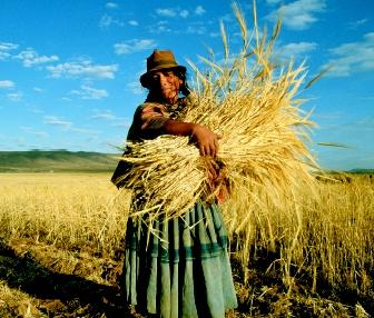 Rain-fed-Agriculture