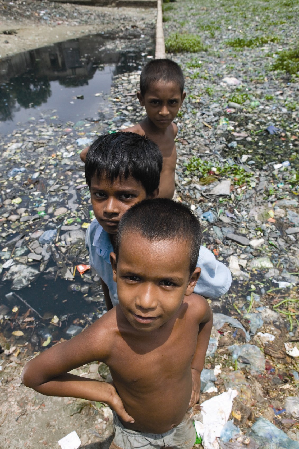 Pollution Of Water