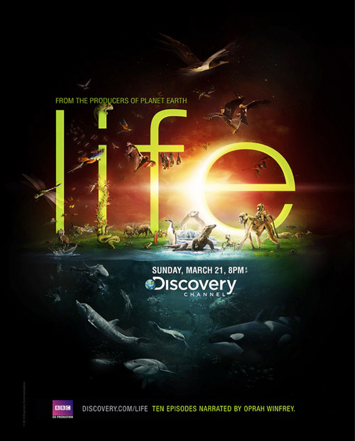 Discovery-Channel–Life