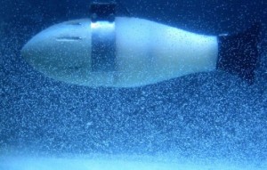 Robotic-fish-learns-to-navigate-currents-and-turbulence-in-water