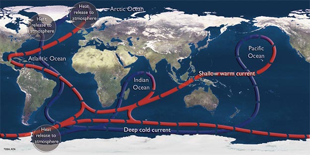 Figure 2: The following illustration describes the flow pattern of the major subsurface ocean currents. Near surface warm currents are drawn in red. Blue depicts the deep cold currents. 