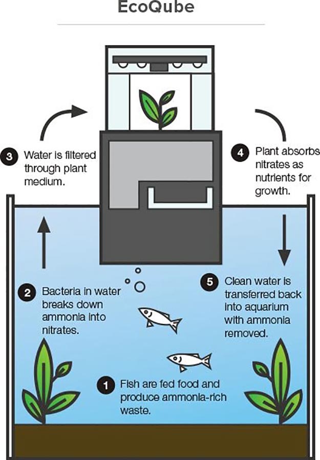 ecoqube-c-2