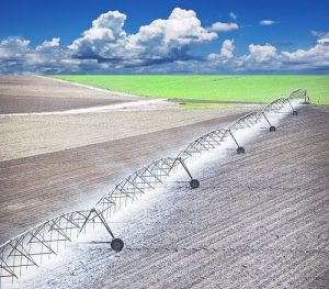 irrigation_1