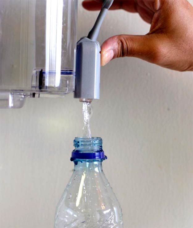 Why Should You Never Refill a Plastic Water Bottle?