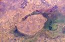 chad-bola-river-salamat-river-wetlands.jpg