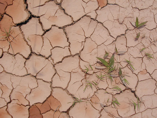 desertification2