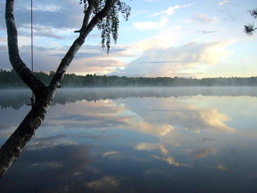 Водные чудовища России