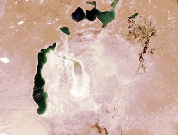 Аральское море в 2009 году. Источник фото: NASA.