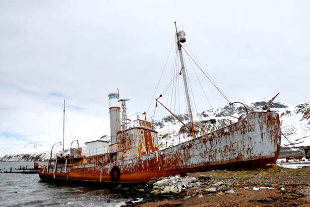 whaler-shipwreck-at-grytviken-south-georgia