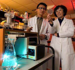 Пеи Чью (слева) и Йен Жин разработали дешевый и эффективный способ очистки воды с помощью элементарного железа.