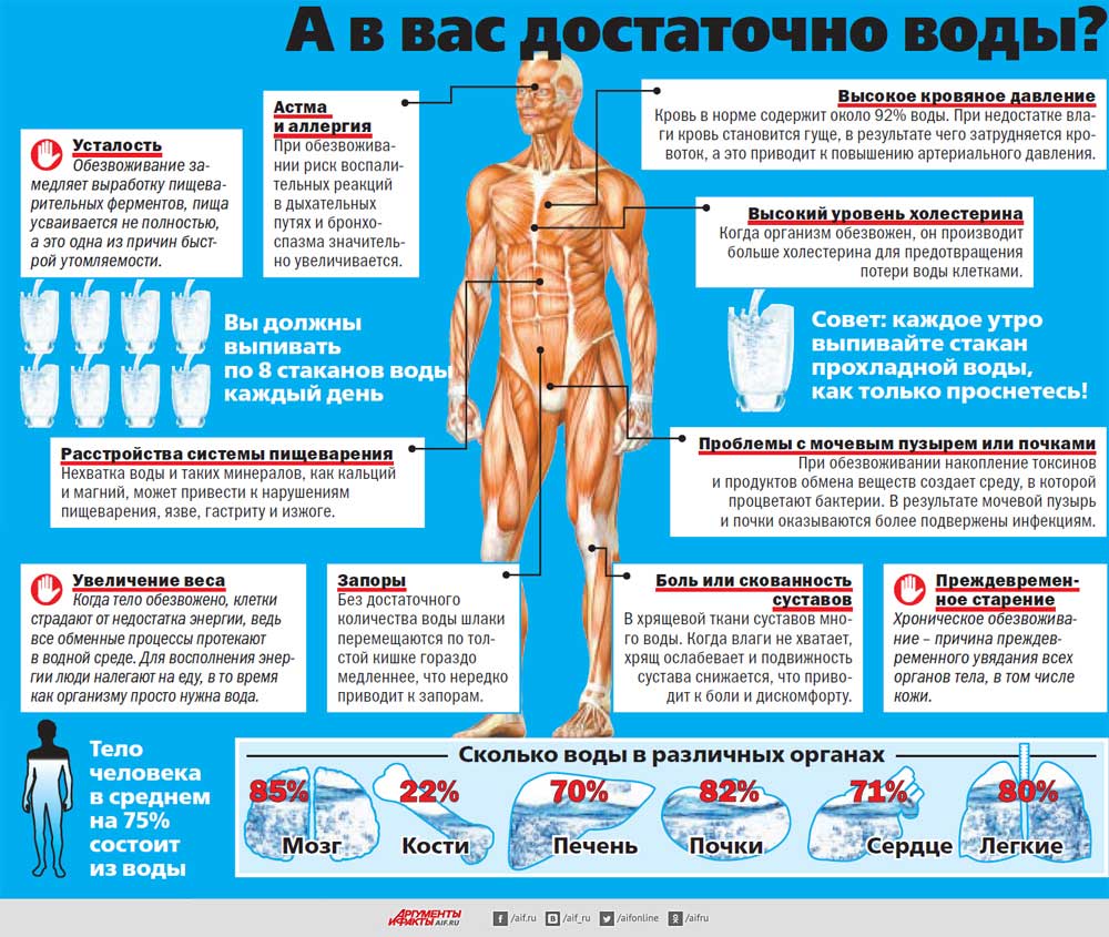 Какие Организме Человека Фото