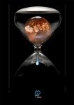 QUERALT ANTU SERRANO-THE LAST DROP.jpg