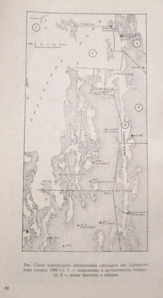 083