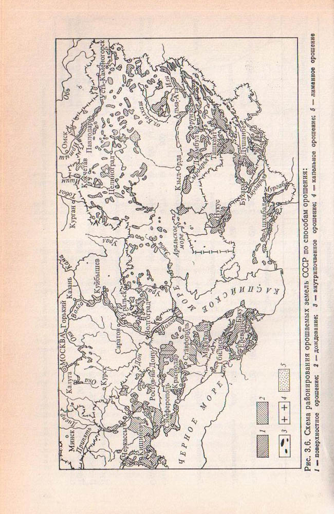 065