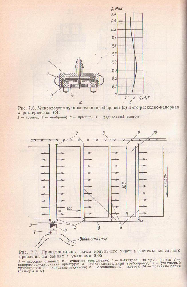 165