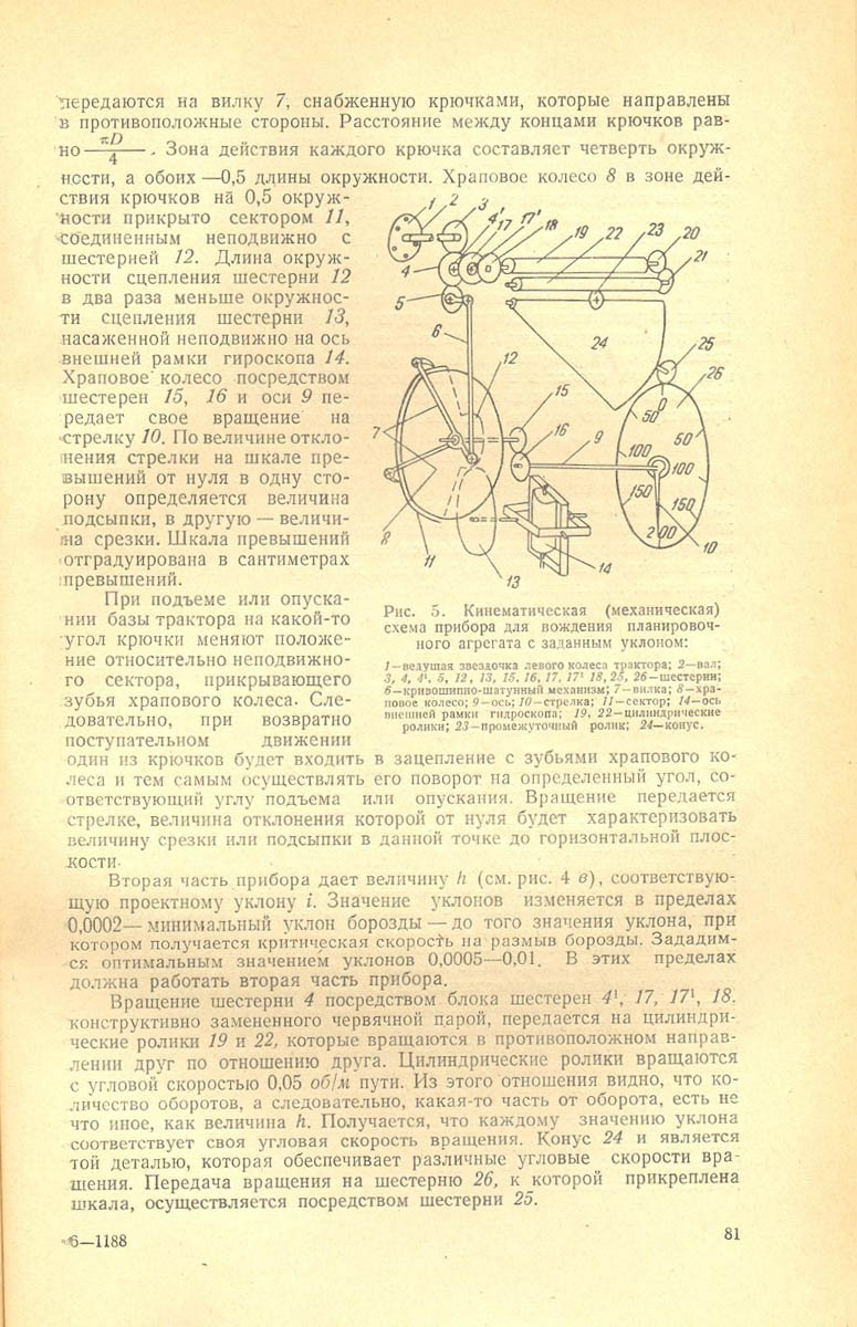 81