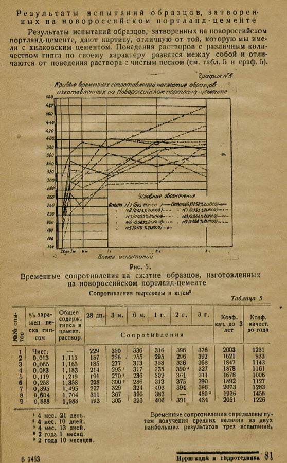 81