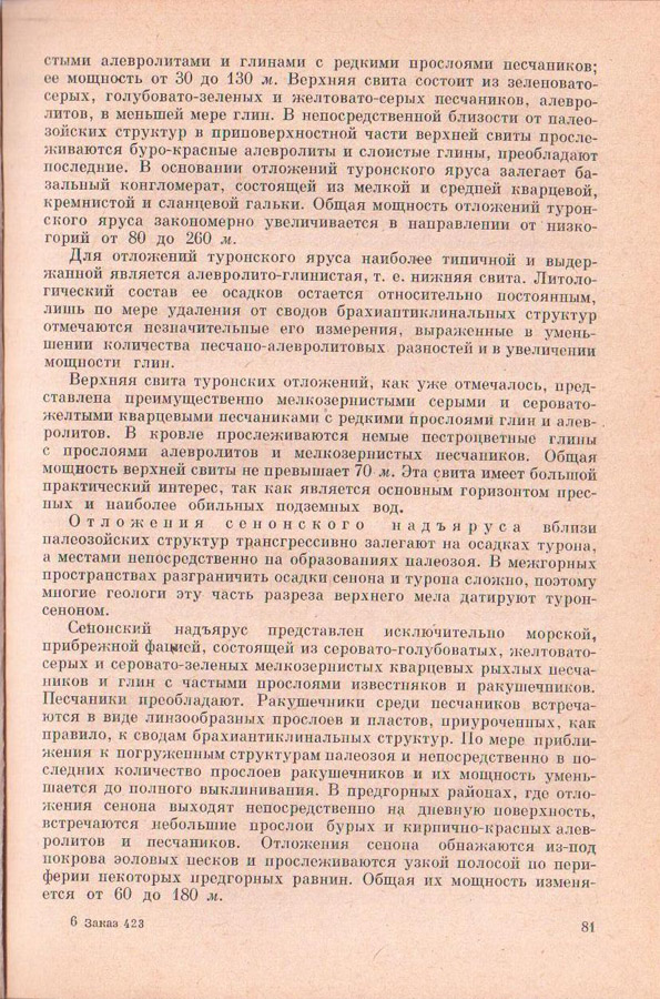 81