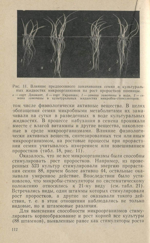 113