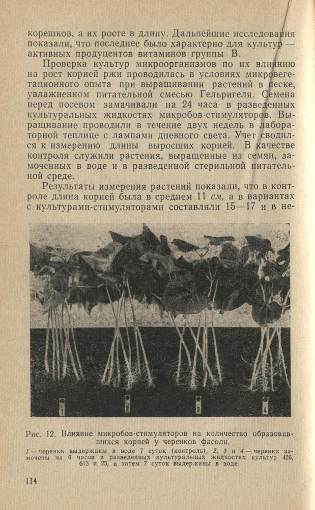 115