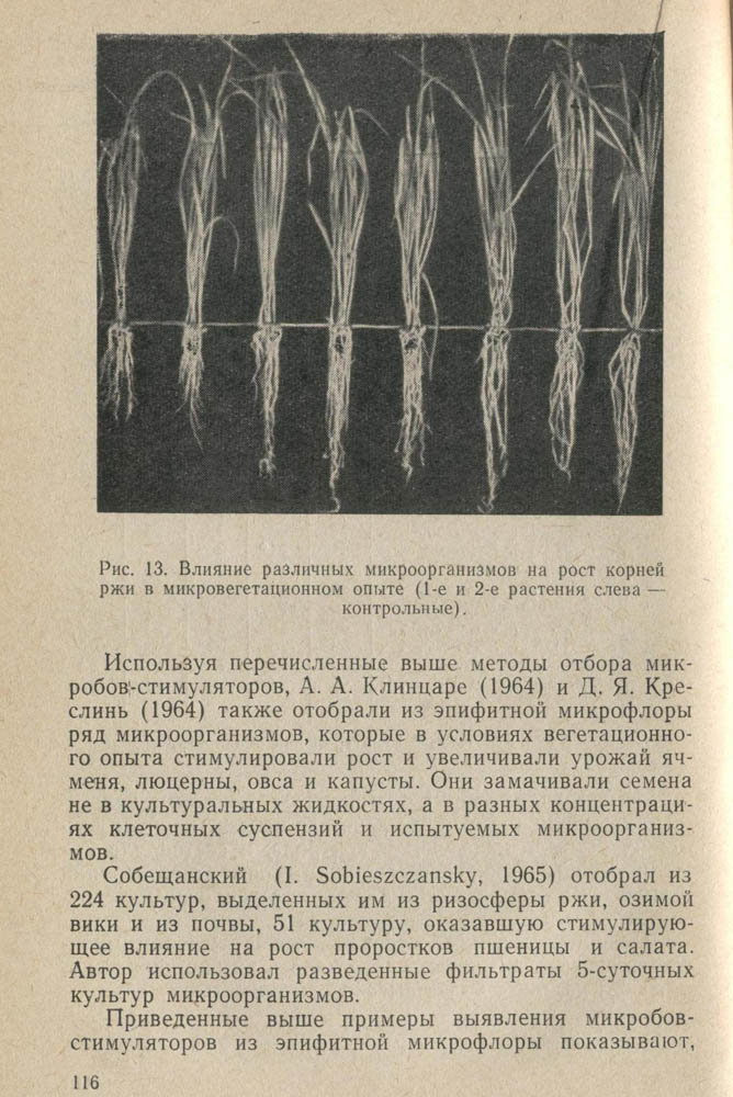 117