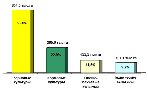 Доклад: Общая характеристика Чуйской области Республики Киргизия